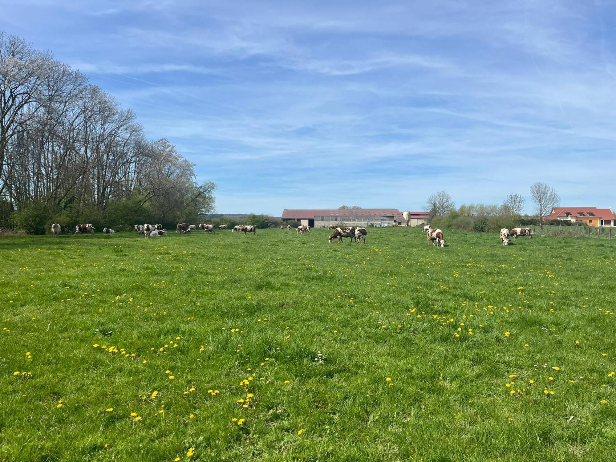 Studio Au Coeur De La Vannerie Fays-Billot Exteriör bild